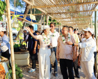 ผู้ว่าราชการจังหวัดสุราษฎร์ธานี เปิดงานสปอร์ตไลท์ เกาะเต่า ( ... พารามิเตอร์รูปภาพ 7