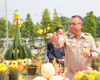 สุราษฎร์ธานีเปิดเรือนจำกลางแห่งใหม่รองรับจำนวนผู้ต้องขังที่เ ... พารามิเตอร์รูปภาพ 3