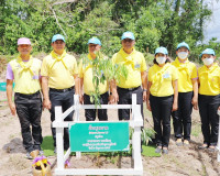 พุทธศาสนิกชนจังหวัดสุราษฎร์ธานีพร้อมใจทำบุญตักบาตร ถวายพระรา ... พารามิเตอร์รูปภาพ 21