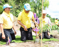 พุทธศาสนิกชนจังหวัดสุราษฎร์ธานีพร้อมใจทำบุญตักบาตร ถวายพระรา ... พารามิเตอร์รูปภาพ 29