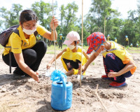 พุทธศาสนิกชนจังหวัดสุราษฎร์ธานีพร้อมใจทำบุญตักบาตร ถวายพระรา ... พารามิเตอร์รูปภาพ 33