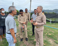 รองผู้ว่าราชการจังหวัดสุราษฎร์ธานี ร่วมกับนายสำนวน ทองศรี นา ... พารามิเตอร์รูปภาพ 3
