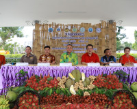 สุราษฎร์ธานีจัดยิ่งใหญ่งานเทศกาลเงาะโรงเรียนนาสาร (GI) ครั้ง ... พารามิเตอร์รูปภาพ 1
