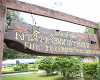 สุราษฎร์ธานีจัดยิ่งใหญ่งานเทศกาลเงาะโรงเรียนนาสาร (GI) ครั้ง ... พารามิเตอร์รูปภาพ 3