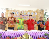 สุราษฎร์ธานีจัดยิ่งใหญ่งานเทศกาลเงาะโรงเรียนนาสาร (GI) ครั้ง ... พารามิเตอร์รูปภาพ 13