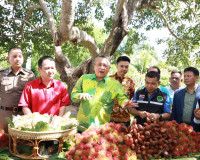 สุราษฎร์ธานีจัดยิ่งใหญ่งานเทศกาลเงาะโรงเรียนนาสาร (GI) ครั้ง ... พารามิเตอร์รูปภาพ 15