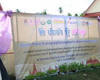 กิจกรรม &quot;วัด ประชา รัฐ สร้างสุข สู่ปฏิบัติการปลูกผักสวนครัวเ ... พารามิเตอร์รูปภาพ 9