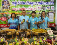 “ผ้าทอไทย สายใยแห่งพระเมตตา สร้างอาชีพปวงประชาอย่างยั่งยืน”  ... พารามิเตอร์รูปภาพ 36