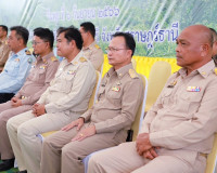 จังหวัดสุราษฎร์ธานีมอบหนังสือรับรองการเป็นผู้ได้รับการคัดเลื ... พารามิเตอร์รูปภาพ 8