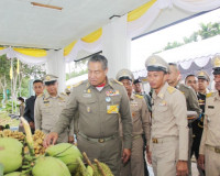 องคมนตรี ติดตามโครงการอันเนื่องมาจากพระราชดำริ ในพื้นที่จังห ... พารามิเตอร์รูปภาพ 8