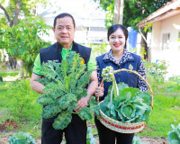 ผู้ว่าฯ สุราษฎร์ธานีจับมือแม่บ้านมหาดไทยเก็บเกี่ยวผลผลิตผักป ... พารามิเตอร์รูปภาพ 1