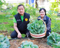 ผู้ว่าฯ สุราษฎร์ธานีจับมือแม่บ้านมหาดไทยเก็บเกี่ยวผลผลิตผักป ... พารามิเตอร์รูปภาพ 2