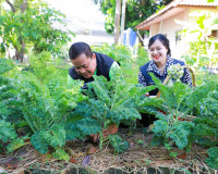ผู้ว่าฯ สุราษฎร์ธานีจับมือแม่บ้านมหาดไทยเก็บเกี่ยวผลผลิตผักป ... พารามิเตอร์รูปภาพ 3