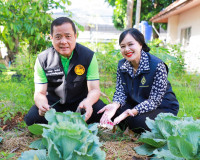 ผู้ว่าฯ สุราษฎร์ธานีจับมือแม่บ้านมหาดไทยเก็บเกี่ยวผลผลิตผักป ... พารามิเตอร์รูปภาพ 6