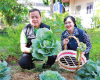 ผู้ว่าฯ สุราษฎร์ธานีจับมือแม่บ้านมหาดไทยเก็บเกี่ยวผลผลิตผักป ... พารามิเตอร์รูปภาพ 8