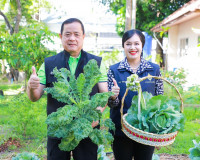 ผู้ว่าฯ สุราษฎร์ธานีจับมือแม่บ้านมหาดไทยเก็บเกี่ยวผลผลิตผักป ... พารามิเตอร์รูปภาพ 9