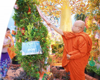 พ่อเมืองสุราษฎร์ธานี นำประชาชนและนักท่องเที่ยวร่วมพิธีชักพุ่ ... พารามิเตอร์รูปภาพ 4