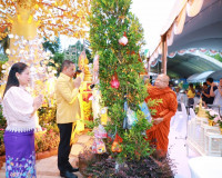 พ่อเมืองสุราษฎร์ธานี นำประชาชนและนักท่องเที่ยวร่วมพิธีชักพุ่ ... พารามิเตอร์รูปภาพ 8