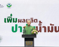 โครงการส่งเสริมความรู้เกษตรกร เรืองการเพิ่มผลผลิตปาล์มน้ำมัน พารามิเตอร์รูปภาพ 2