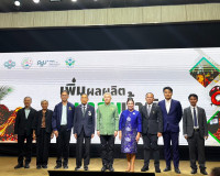 โครงการส่งเสริมความรู้เกษตรกร เรืองการเพิ่มผลผลิตปาล์มน้ำมัน พารามิเตอร์รูปภาพ 6