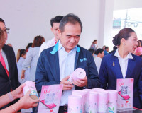 รัฐมนตรีช่วยว่าการกระทรวงการคลัง ลงพื้นที่สุราษฎร์ธานี ติดตา ... พารามิเตอร์รูปภาพ 6