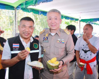 เกษตรกรกลุ่มทุเรียนแปลงใหญ่บ้านนาเดิม จัดกิจกรรมบุฟเฟ่ต์ทุเร ... พารามิเตอร์รูปภาพ 2