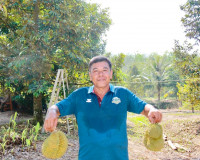 เกษตรกรกลุ่มทุเรียนแปลงใหญ่บ้านนาเดิม จัดกิจกรรมบุฟเฟ่ต์ทุเร ... พารามิเตอร์รูปภาพ 4