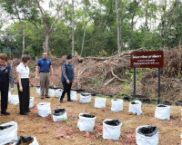 ประธานแม่บ้านมหาดไทยจังหวัดสุราษฎร์ธานี ร่วมกับ ประธานแม่บ้า ... พารามิเตอร์รูปภาพ 9