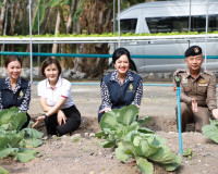 ประธานแม่บ้านมหาดไทยจังหวัดสุราษฎร์ธานี ร่วมกับ ประธานแม่บ้า ... พารามิเตอร์รูปภาพ 17