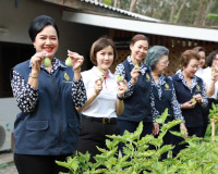 ประธานแม่บ้านมหาดไทยจังหวัดสุราษฎร์ธานี ร่วมกับ ประธานแม่บ้า ... พารามิเตอร์รูปภาพ 18