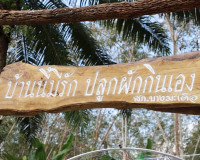 ประธานแม่บ้านมหาดไทยจังหวัดสุราษฎร์ธานี ร่วมกับ ประธานแม่บ้า ... พารามิเตอร์รูปภาพ 20