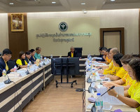 ประธานการประชุมคณะอนุกรรมการป้องกันและแก้ไขปัญหาการตั้งครรภ์ ... พารามิเตอร์รูปภาพ 8