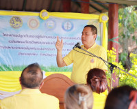 ผู้ว่าฯสุราษฎร์ธานี นำหัวหน้าส่วนราชการ พี่น้องประชาชน ร่วมป ... พารามิเตอร์รูปภาพ 2