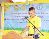 ผู้ว่าฯสุราษฎร์ธานี นำหัวหน้าส่วนราชการ พี่น้องประชาชน ร่วมป ... พารามิเตอร์รูปภาพ 4