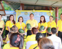 ผู้ว่าฯสุราษฎร์ธานี นำหัวหน้าส่วนราชการ พี่น้องประชาชน ร่วมป ... พารามิเตอร์รูปภาพ 8