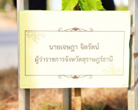 ผู้ว่าฯสุราษฎร์ธานี นำหัวหน้าส่วนราชการ พี่น้องประชาชน ร่วมป ... พารามิเตอร์รูปภาพ 16