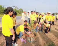 ผู้ว่าฯสุราษฎร์ธานี นำหัวหน้าส่วนราชการ พี่น้องประชาชน ร่วมป ... พารามิเตอร์รูปภาพ 20