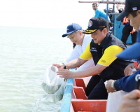 ผู้ว่าฯสุราษฎร์ธานีเปิดโครงการ “ปูม้ายั่งยืน คู่ทะเลไทย“ ปีท ... พารามิเตอร์รูปภาพ 8