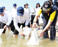 ผู้ว่าฯสุราษฎร์ธานีเปิดโครงการ “ปูม้ายั่งยืน คู่ทะเลไทย“ ปีท ... พารามิเตอร์รูปภาพ 13