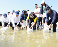 ผู้ว่าฯสุราษฎร์ธานีเปิดโครงการ “ปูม้ายั่งยืน คู่ทะเลไทย“ ปีท ... พารามิเตอร์รูปภาพ 14