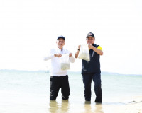 ผู้ว่าฯสุราษฎร์ธานีเปิดโครงการ “ปูม้ายั่งยืน คู่ทะเลไทย“ ปีท ... พารามิเตอร์รูปภาพ 15