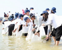 ผู้ว่าฯสุราษฎร์ธานีเปิดโครงการ “ปูม้ายั่งยืน คู่ทะเลไทย“ ปีท ... พารามิเตอร์รูปภาพ 17
