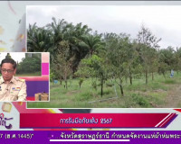 ออกรายการ &quot;ผู้ว่าฯคุยกับประชาชน&quot; และ &quot;รายการแหลงข่าวชาวใต้&quot; พารามิเตอร์รูปภาพ 11