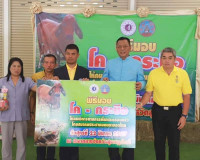 สมาคมประชาคมคนตาบอดไทย จัดพิธีมอบโค-กระบือ แก่ผู้พิการทางการ ... พารามิเตอร์รูปภาพ 6