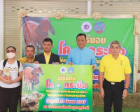 สมาคมประชาคมคนตาบอดไทย จัดพิธีมอบโค-กระบือ แก่ผู้พิการทางการ ... พารามิเตอร์รูปภาพ 7