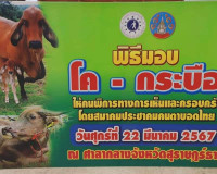 สมาคมประชาคมคนตาบอดไทย จัดพิธีมอบโค-กระบือ แก่ผู้พิการทางการ ... พารามิเตอร์รูปภาพ 21