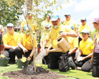 ผู้ว่าราชการจังหวัดสุราษฎร์ธานี นำส่วนราชการ และประชาชนจิตอา ... พารามิเตอร์รูปภาพ 20