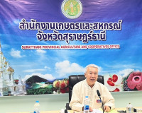 รองผู้ว่าราชการจังหวัดสุราษฎร์ธานี เป็นประธานการประชุมคัดเลื ... พารามิเตอร์รูปภาพ 1
