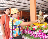 ผู้ว่าฯ สุราษฎร์ธานี ร่วมงานบุญทอดผ้าป่าสามัคคีเพื่อทำถนนคอน ... พารามิเตอร์รูปภาพ 26