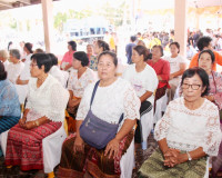 ผู้ว่าฯ สุราษฎร์ธานีนำพุทธศาสนิกชนนับพันคนร่วมงานบุญประเพณีว ... พารามิเตอร์รูปภาพ 12